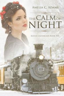 The Calm of Night (Kansas Crossroads Book 10)