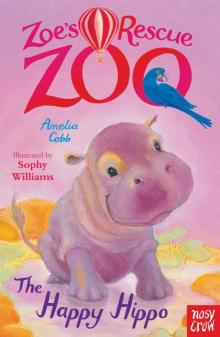 The Happy Hippo The Happy Hippo