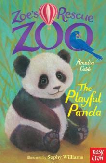 The Playful Panda The Playful Panda