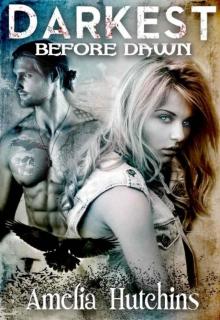 Darkest Before Dawn (A Guardian's Diary Book 1) Darkest Before Dawn (A Guardian's Diary Book 1)