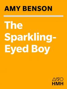 The Sparkling-Eyed Boy The Sparkling-Eyed Boy