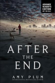After the End ate-1