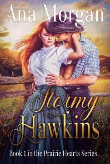 Stormy Hawkins (Prairie Hearts Series Book 1) Stormy Hawkins (Prairie Hearts Series Book 1)