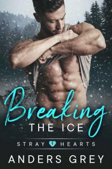 Breaking the Ice (Stray Hearts Book 1)