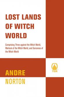 Lost Lands of Witch World Lost Lands of Witch World