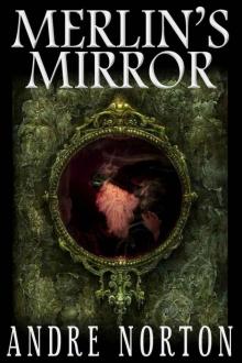 Merlin's Mirror Merlin's Mirror