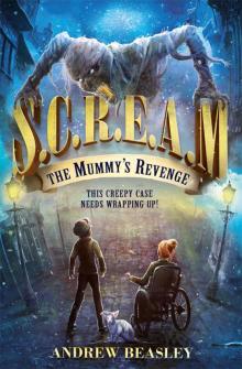 The Mummy's Revenge The Mummy's Revenge
