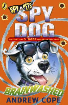 Spy Dog Spy Dog