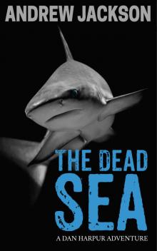 The Dead Sea The Dead Sea