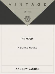 Flood Flood