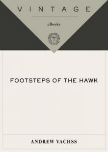 Footsteps of the Hawk