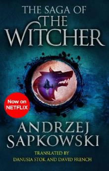 The Saga of the Witcher The Saga of the Witcher