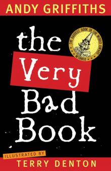 The Very Bad Book The Very Bad Book