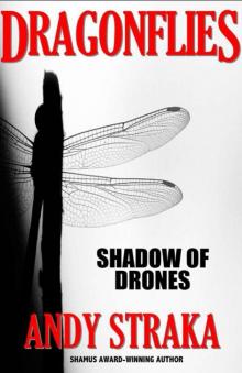 Dragonflies: Shadow Of Drones Dragonflies: Shadow Of Drones
