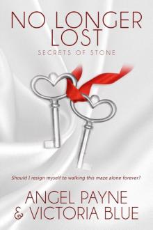 No Longer Lost: Secrets Of Stone: Book Nine