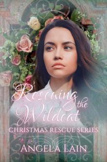 Rescuing The Wildcat Rescuing The Wildcat