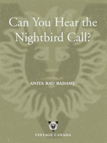 Can You Hear the Nightbird Call?