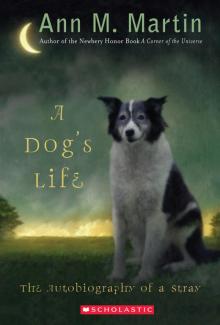 A Dog's Life: The Autobiography of a Stray
