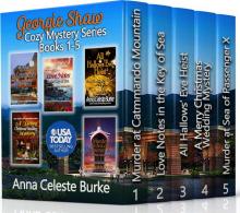 Georgie Shaw Cozy Mystery Box Set