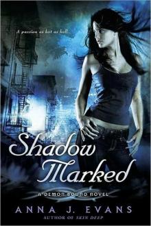Shadow Marked Shadow Marked