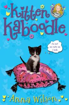 Kitten Kaboodle