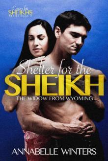 Shelter for the Sheikh: A Royal Billionaire Romance Novel (Curves for Sheikhs Series Book 9)