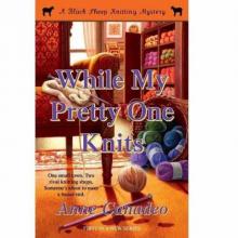 While My Pretty One Knits While My Pretty One Knits