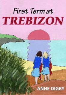 FIRST TERM AT TREBIZON