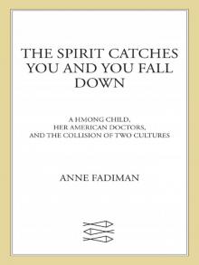 The Spirit Catches You and You Fall Down