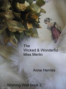The Wicked and Wonderful Miss Merlin The Wicked and Wonderful Miss Merlin