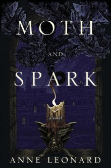 Moth and Spark Moth and Spark