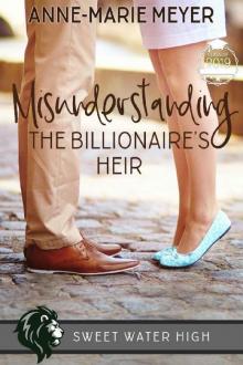Misunderstanding the Billionaire's Heir