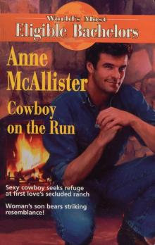 Cowboy on the Run Cowboy on the Run