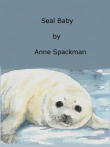 Seal Baby Seal Baby
