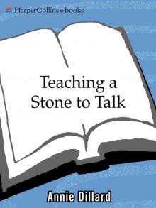 Teaching a Stone to Talk Teaching a Stone to Talk