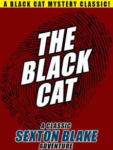 The Black Cat The Black Cat
