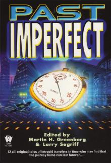 Past Imperfect Past Imperfect