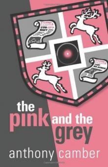 The Pink and the Grey The Pink and the Grey
