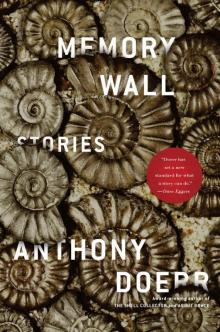 Memory Wall: Stories Memory Wall: Stories