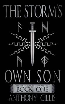 The Storm's Own Son (Book 1)