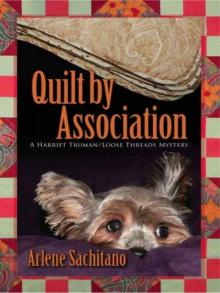 Quilt by Association Quilt by Association