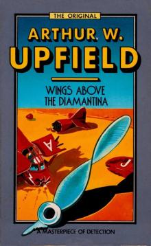 Wings Above the Diamantina Wings Above the Diamantina