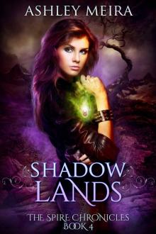 Shadowlands: a New Adult Urban Fantasy Novel (The Spire Chronicles Book 4)