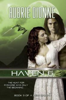 Haven 6 Haven 6