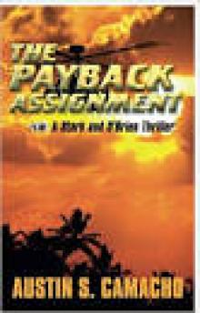 The Payback Assignment (Stark and O'Brien Thriller Series)