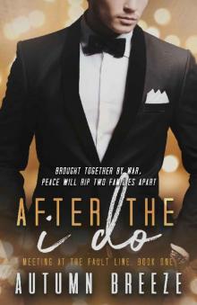 After The I Do (Meeting At The Fault Line Book 1) After The I Do (Meeting At The Fault Line Book 1)