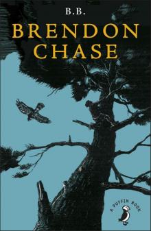 Brendon Chase Brendon Chase