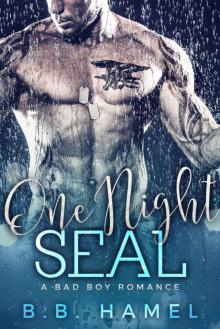 One Night SEAL: A Bad Boy Romance