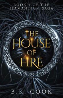 The House of Fire : A Coming of Age Fantasy The House of Fire : A Coming of Age Fantasy