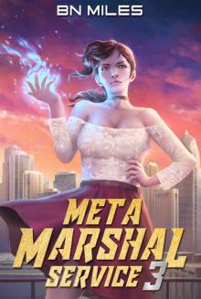 Meta Marshal Service 3 Meta Marshal Service 3